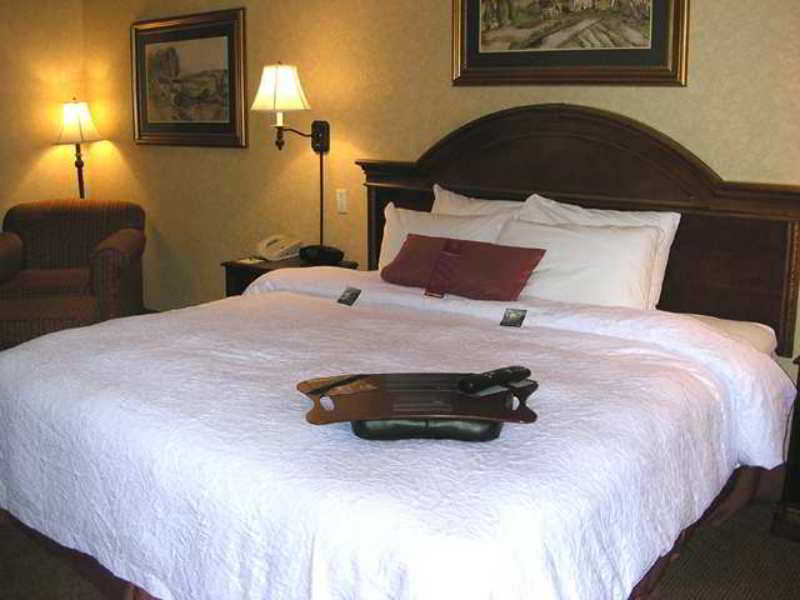 Hampton Inn Coventry-Warwick Area Chambre photo